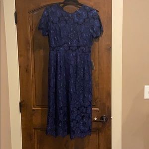 Navy lace dress